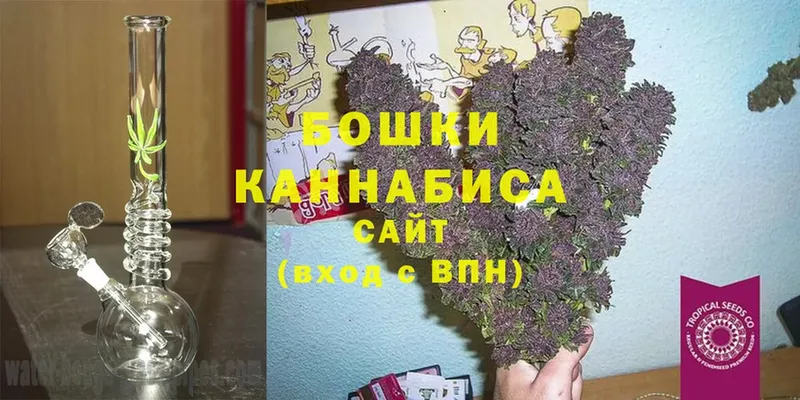 Конопля THC 21%  гидра маркетплейс  Кыштым 